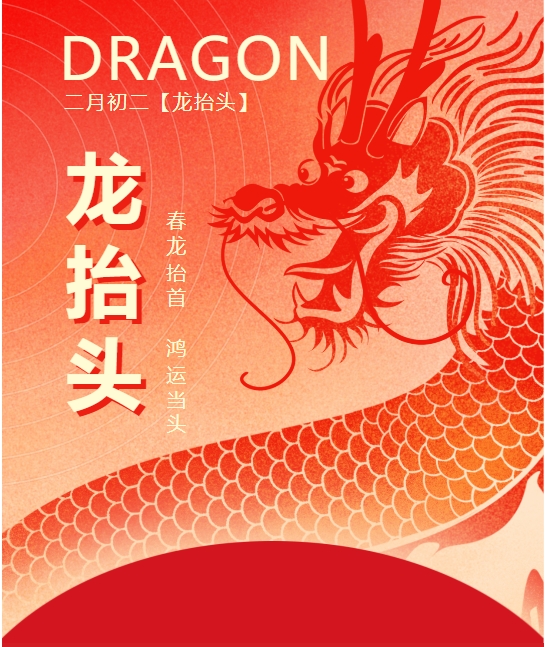 二月二龍?zhí)ь^，春龍振翅鴻運(yùn)啟 —— 佳木斯網(wǎng)云信息科技有限公司與您共迎新春盛景