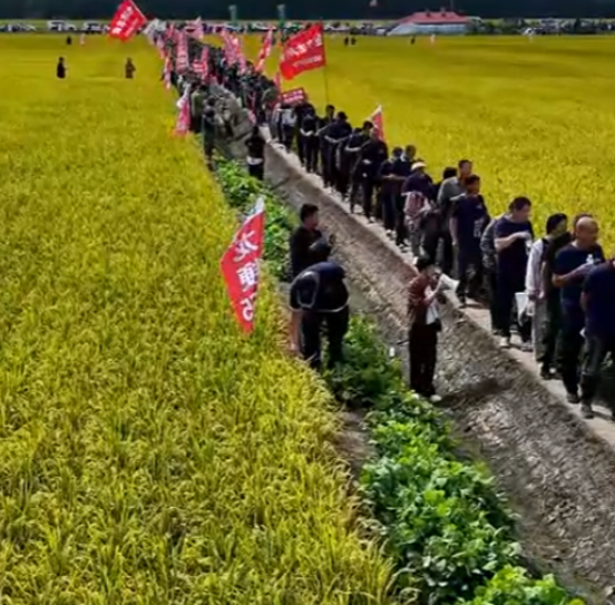 龍粳1823經銷商分享現(xiàn)場